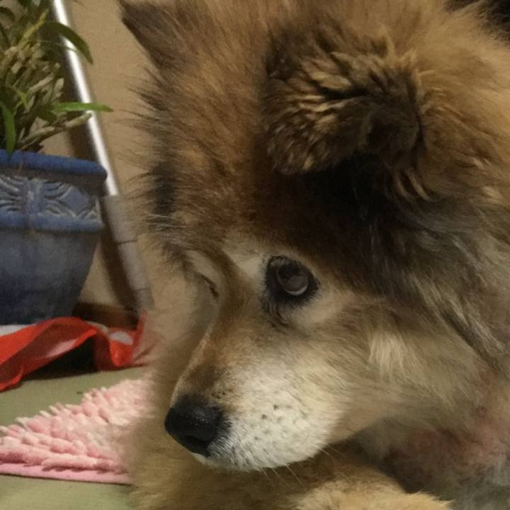 A3636a12 b883 490e 83bf f9bfa038f8b3 1611882128007