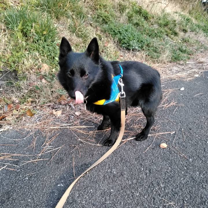 A36389ba 0eed 4c3a 9893 9f1be5034d3b 1584051238112