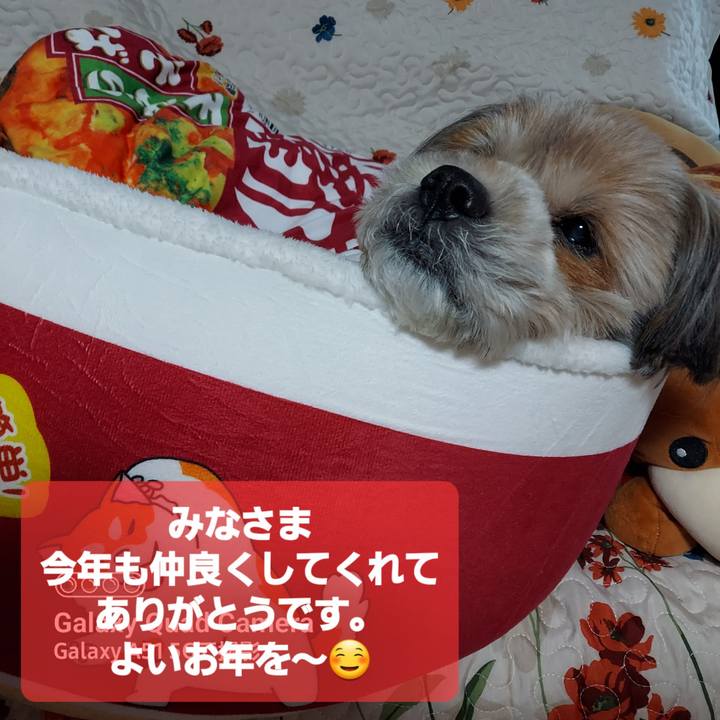 A363c15f c8da 46a3 9115 2fcfb5a4ba04 1672474403360