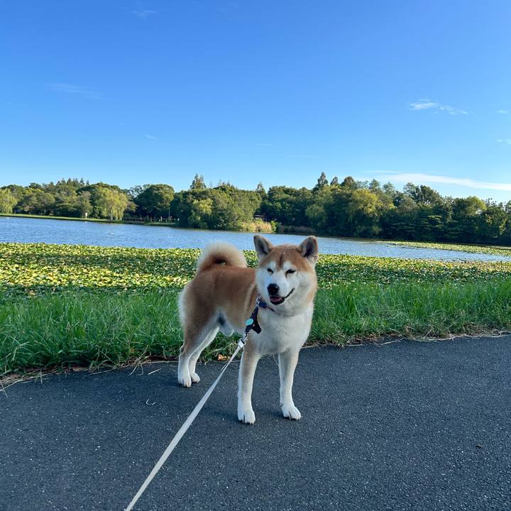 A363c170 27d0 4ae3 96d9 f9e224084052 1758586989132