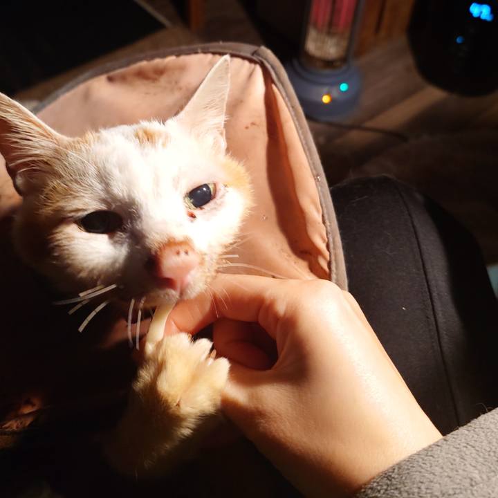 A363d757 a04a 409b 93e6 f8db7f52321e 1766922513750