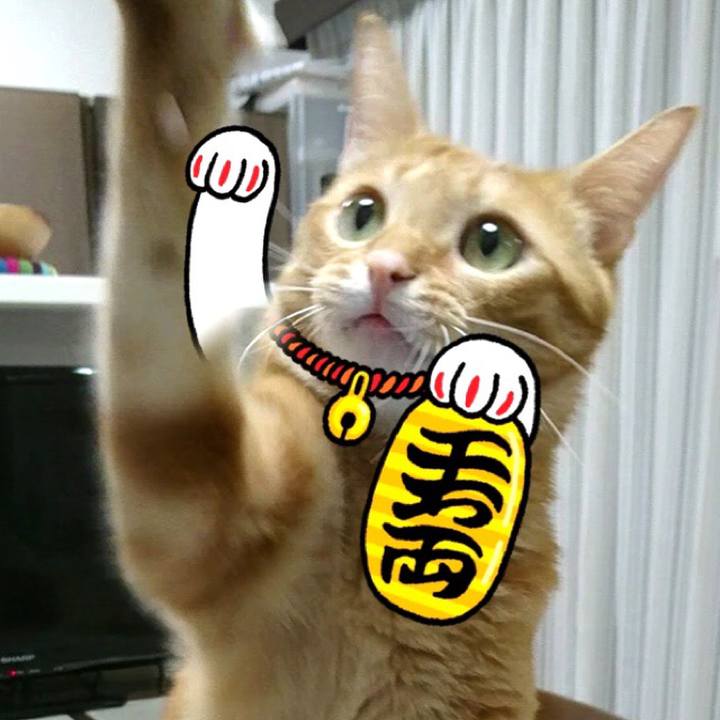 A363e3ed f9ca 4e09 bc7e 99d2c9d2f3e2 1563020480357