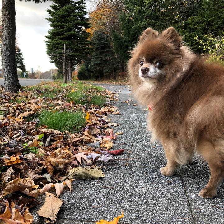 A363eeff 329c 40f8 9615 681f663bbc03 1636197050868