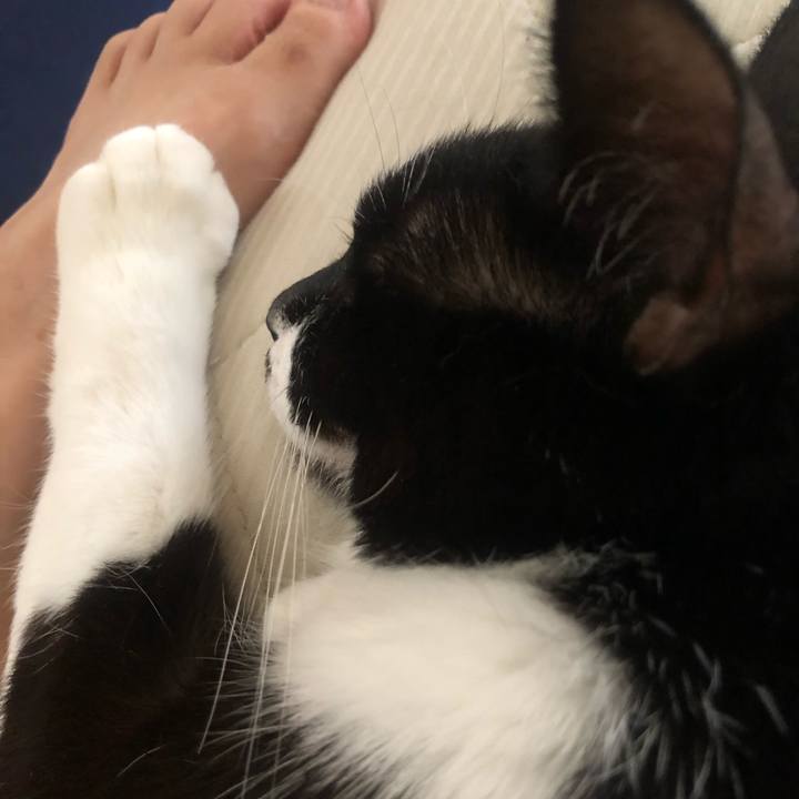 A363f1cd 4af8 4469 a6ff 5c579e5438ae 1629839595442