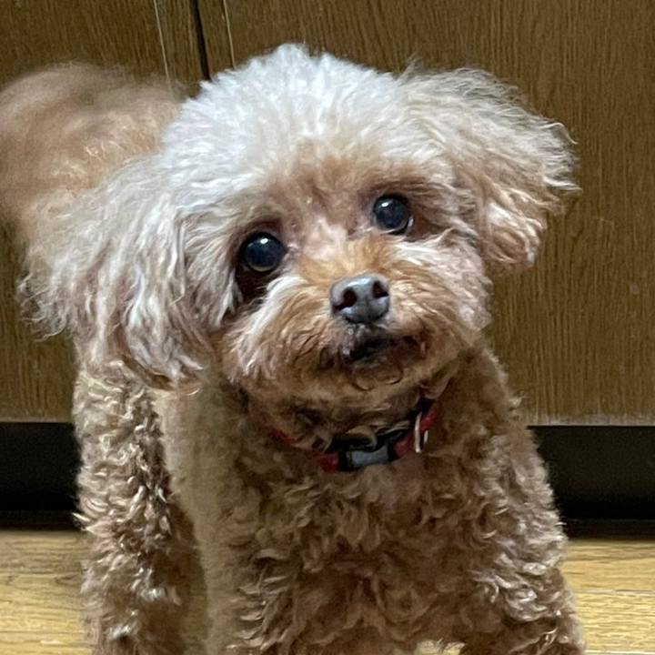 A363fbb4 bf3b 46a1 bea2 38ffb36c56e9 1696502217831