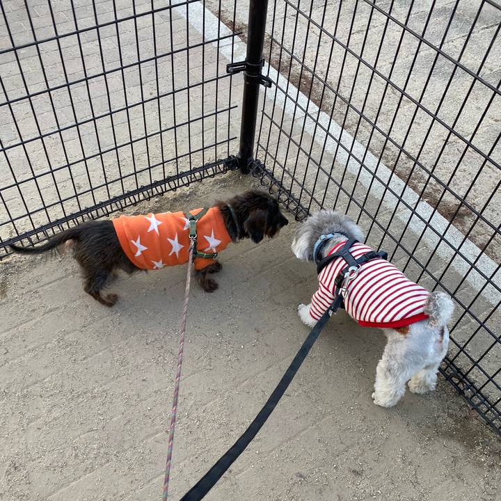 A364111f 0584 4b80 a20a 6bbb794df3fd 1644673968533