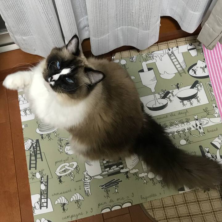 A3644919 b416 4852 ab8f ebe94819a368 1517310013947