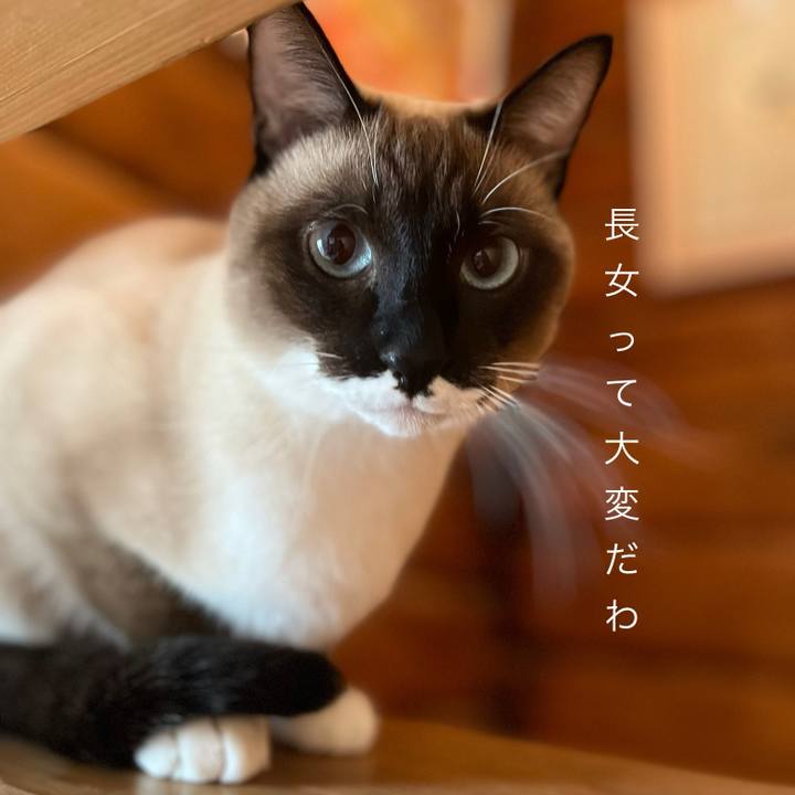 A36449ce 7e91 4122 bee4 e2b04b8e6b8d 1736035480942