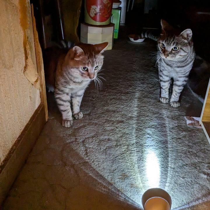 A364843d 0455 47f6 a2c1 71470bbf1cc7 1725554256858