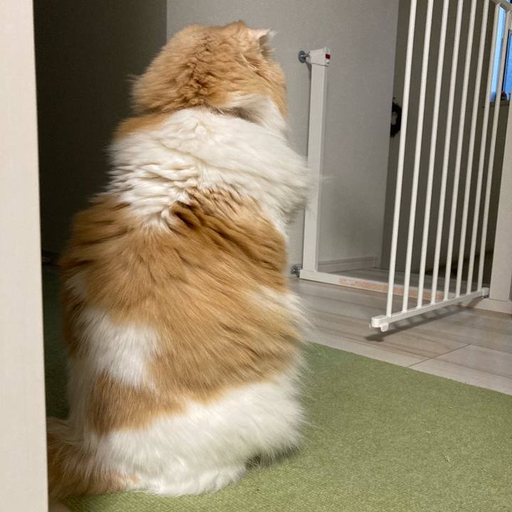 A3649a1c 8bf8 489d a73a 1d6d38b7733b 1614691479855