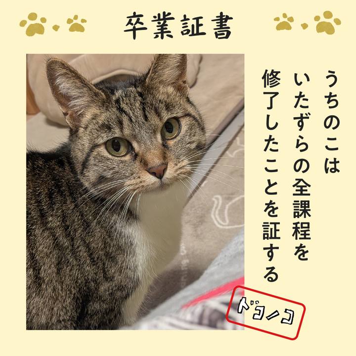 A364e839 4dba 47e5 98f7 0d2d8a0b597c 1772142650852