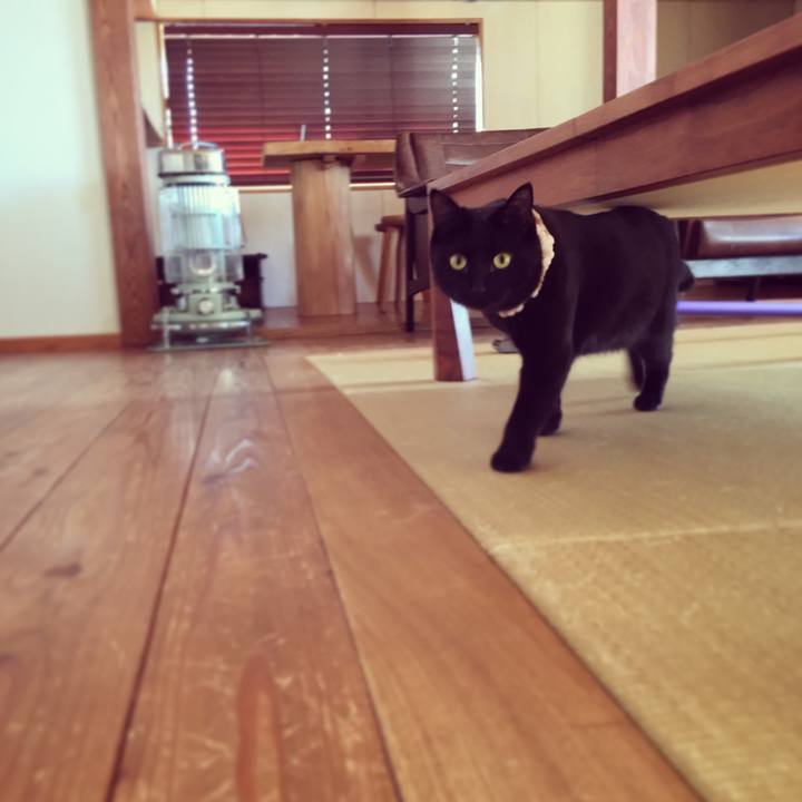 A3650378 8dc5 45fd 845b 107f0e81f42b 1517272950914