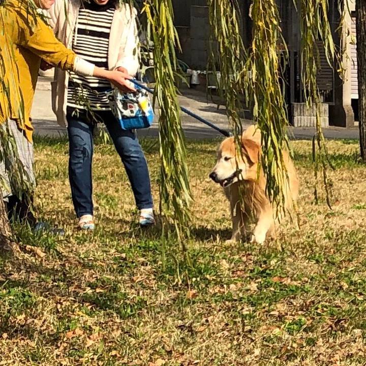 A3655ab4 4db9 4957 86da c79ecb3c180d 1543409271510