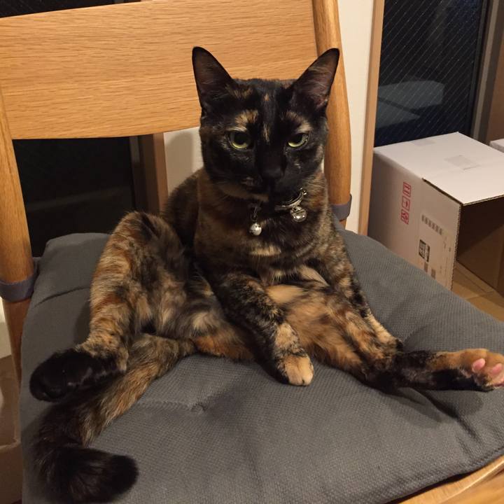 A36595f4 708a 46ba 9769 d21d3bcc1be4 1513858805272