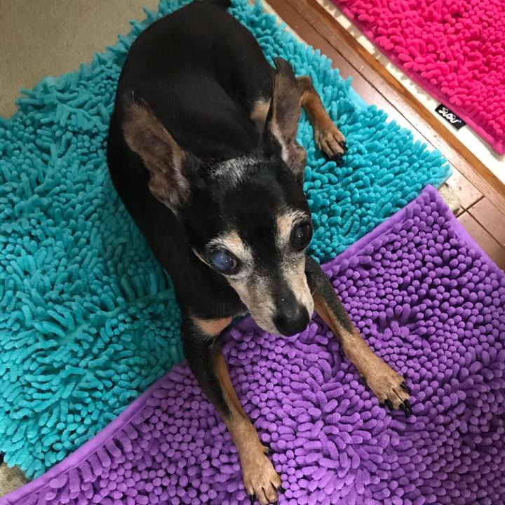 A3659b4f 95b2 4054 a502 dc8853d36f3a 1565927787303