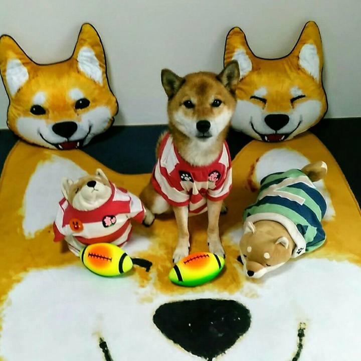 A365af8e ea70 4f6e 88b7 e9d2f8ece8bd 1567763810475