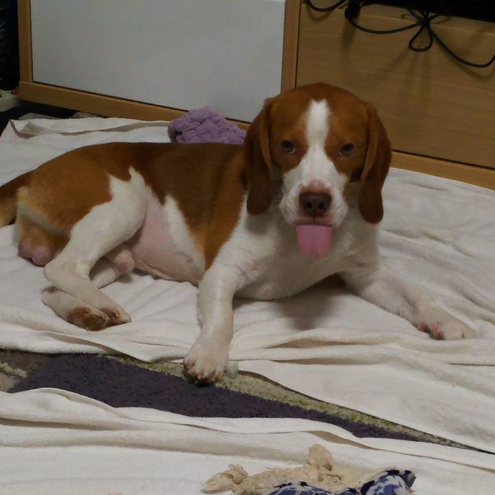 A365bf83 6b10 4415 990e 05349e1128fe 1535723815914