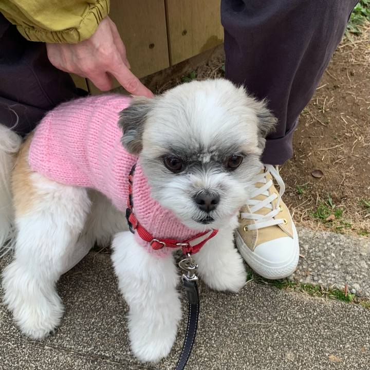 A365cc75 4f4f 4d5a 9dbe cf0ad59e79d1 1615070550972