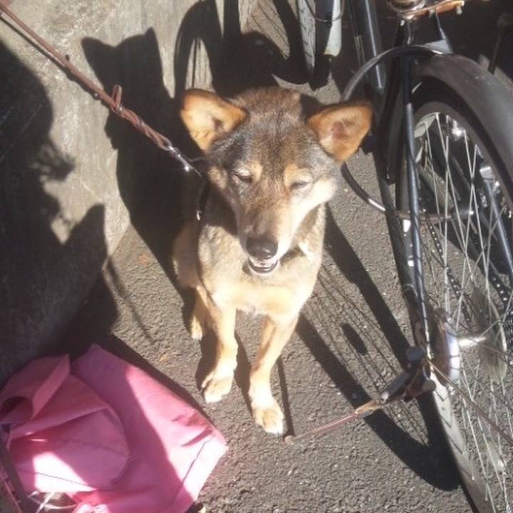 A365dbb5 6e8e 4c08 b3c7 5a2644bc1556 1516076510745