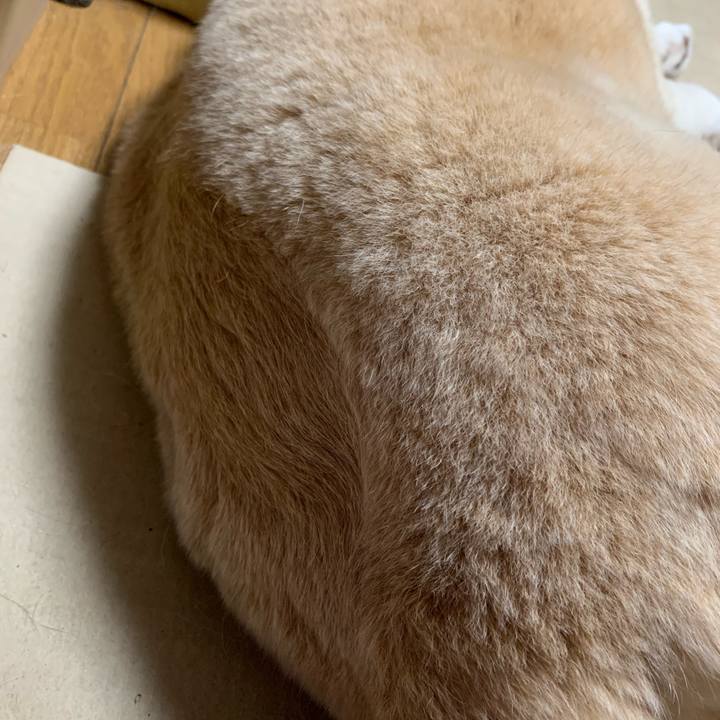 A365ffc2 3ac3 4448 9447 30ca30e95a6a 1661870281148