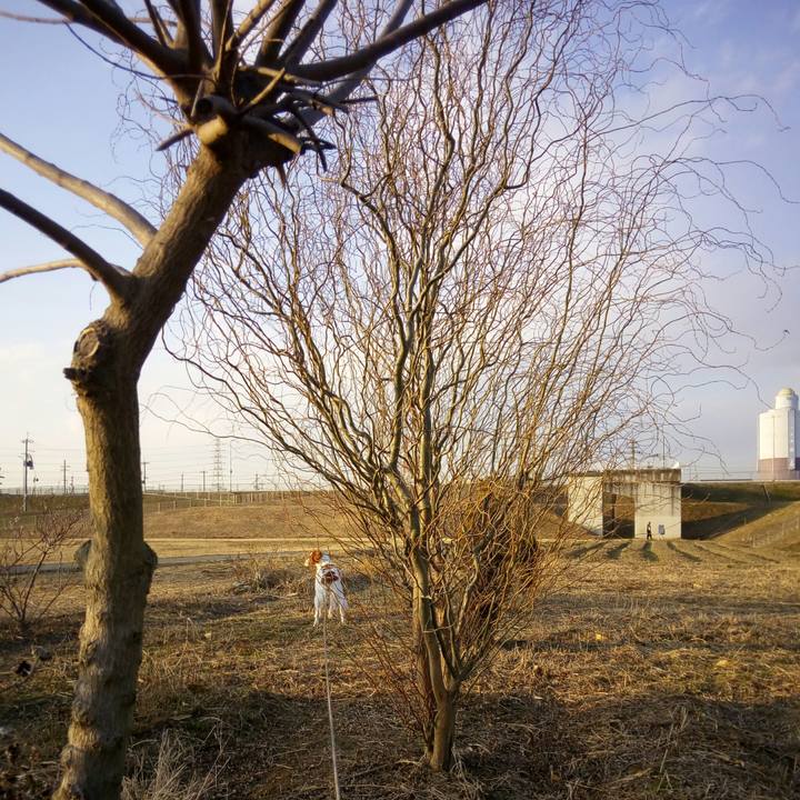 A36667e4 e0b1 4bda b471 b2b40a713315 1519385379448