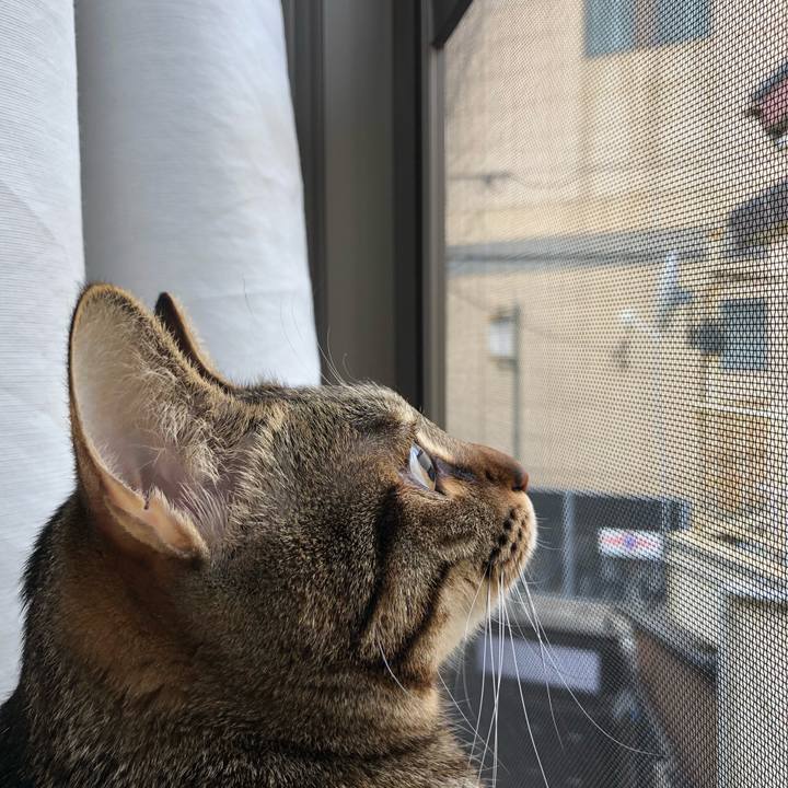 A3669026 164f 4576 bd9c 600526e771e1 1518267910876