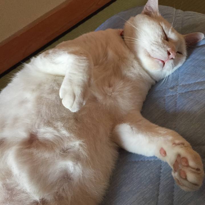 A366e30b 54c5 4943 b34d afd358b4e6b3 1568064523333