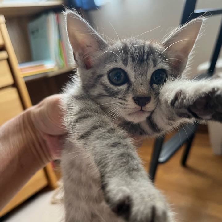 A36726fa 60f8 4e03 b45f 186cb3c40146 1694929110851