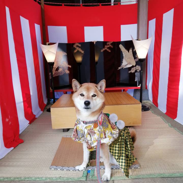 A3672b86 8a9c 4677 bef0 1c7299cdf390 1636901110485