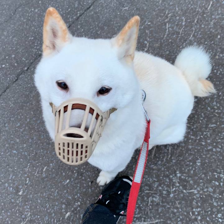 A3674c69 a81e 4a2c 9421 e13b0d031d55 1568150383775