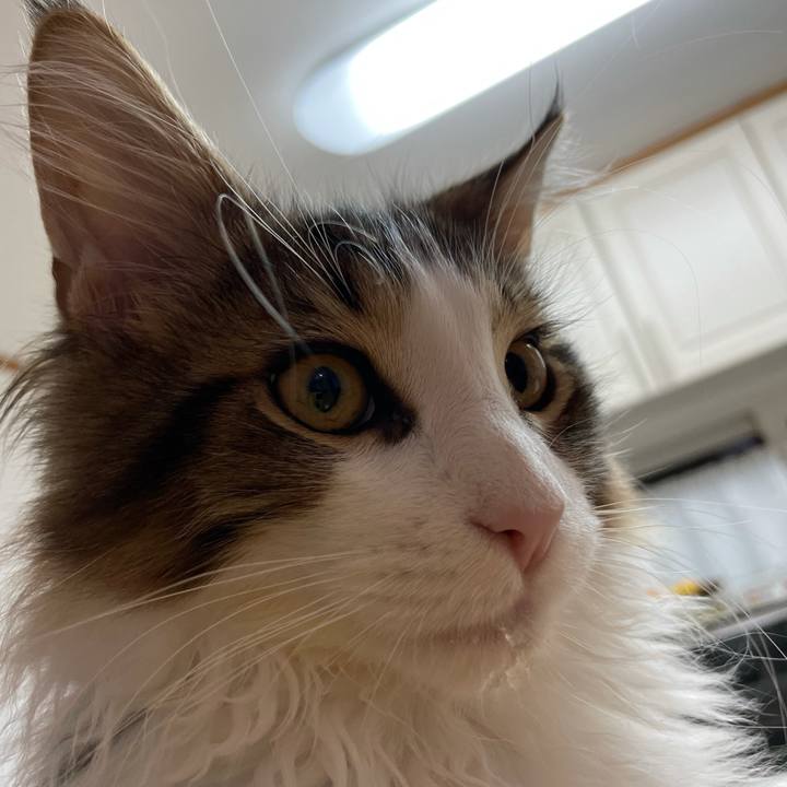 A3675f85 edd7 4934 a38b 4823ad70a131 1636231218071