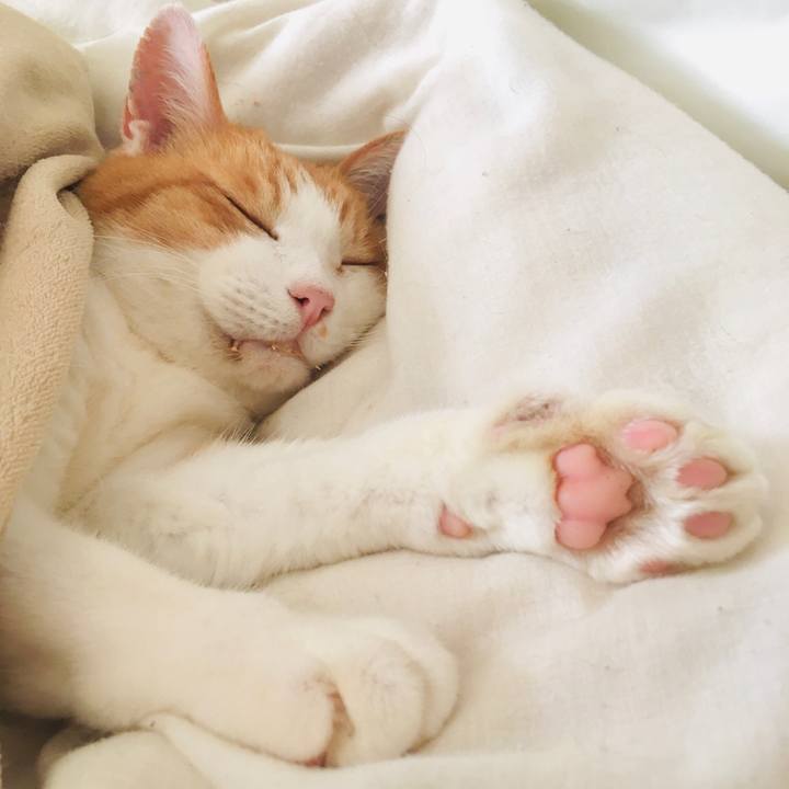 A367768c 17b4 47dd 977a c9ac4ba961c7 1586579444460