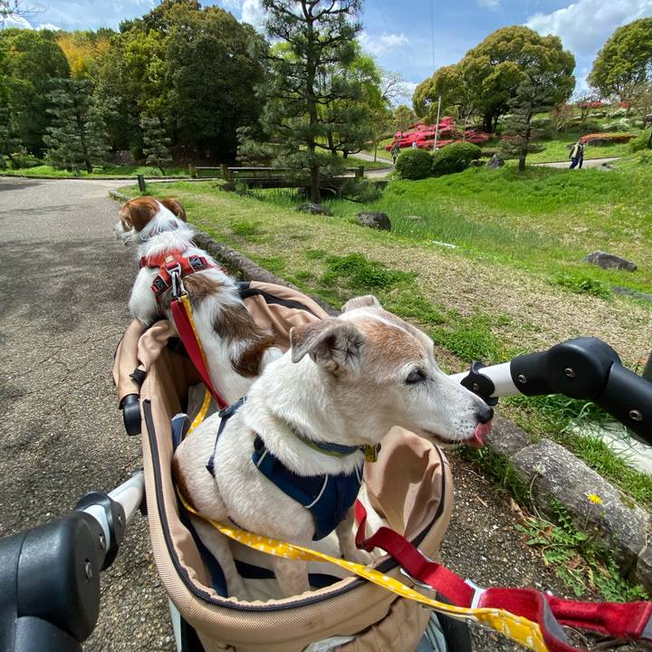 A367856c 2f55 4518 bb4e 35aa57b46dbb 1681610084543