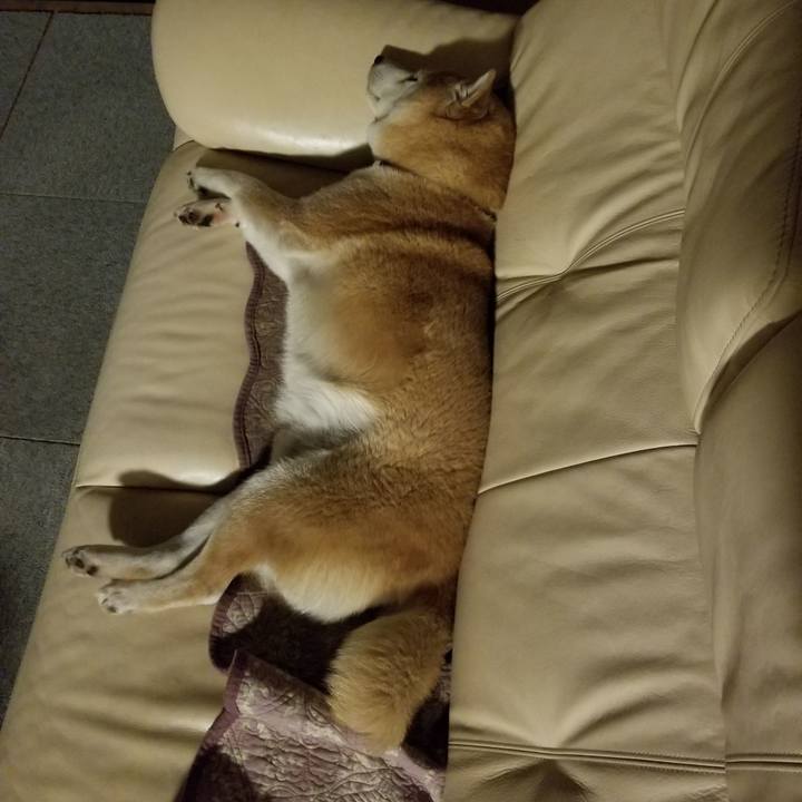 A367869e 1d50 477e a9ec a6b7e27174ac 1639233984635