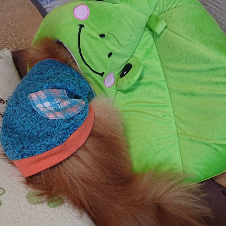 A367945a 8948 4a38 9b2e a01e872c4334 1638488015983