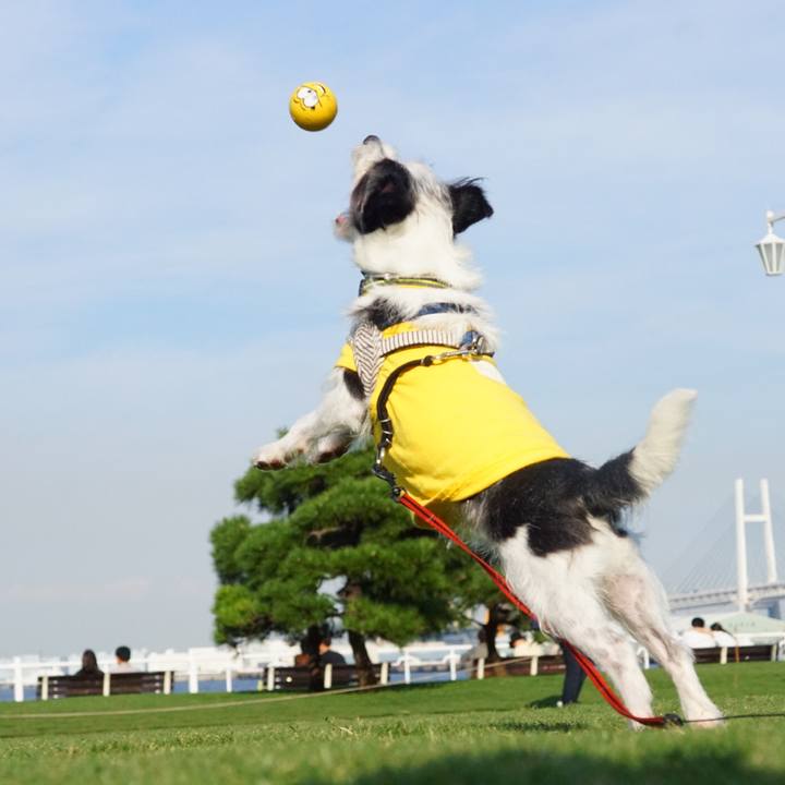 A3679b2c 67cd 4eea 915d 04f0bc092d71 1539165420149