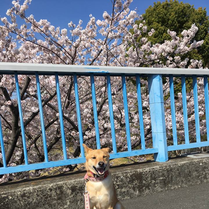 A367ff52 97d1 4767 abda 7886bbd1e35d 1522403457178