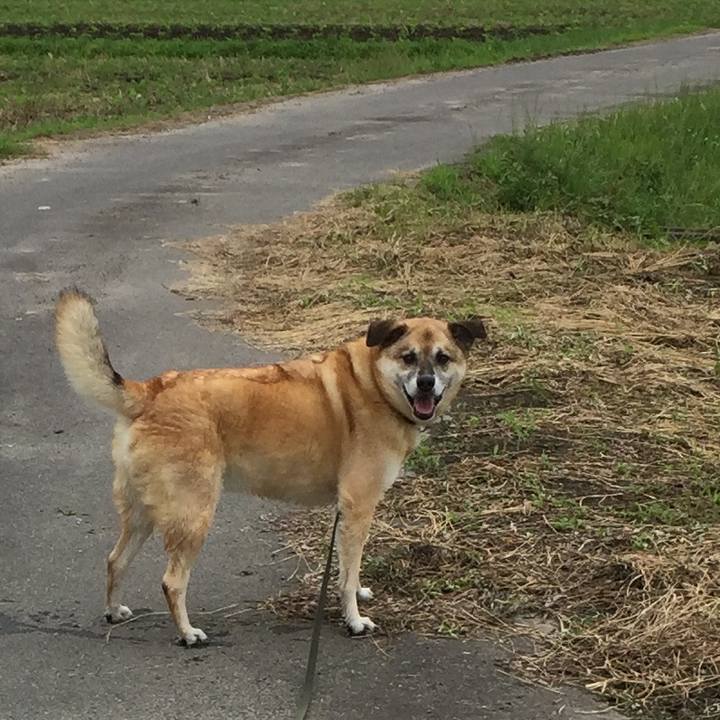 A36823cd 9275 4a37 bcff f13f775e3092 1563172144836