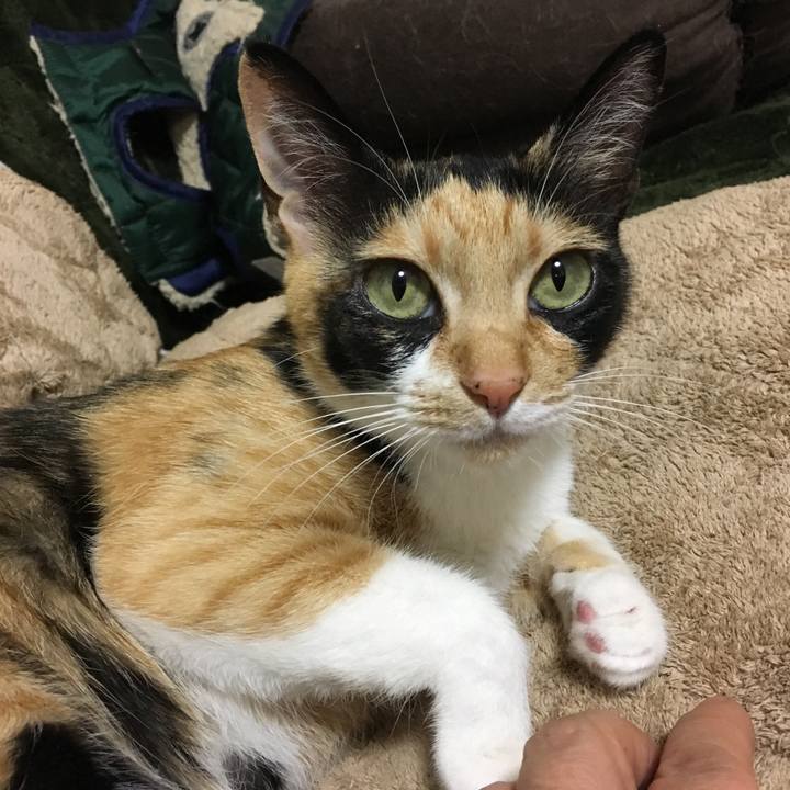 A36830f3 6997 450c afc9 f70dec79262a 1517650303518