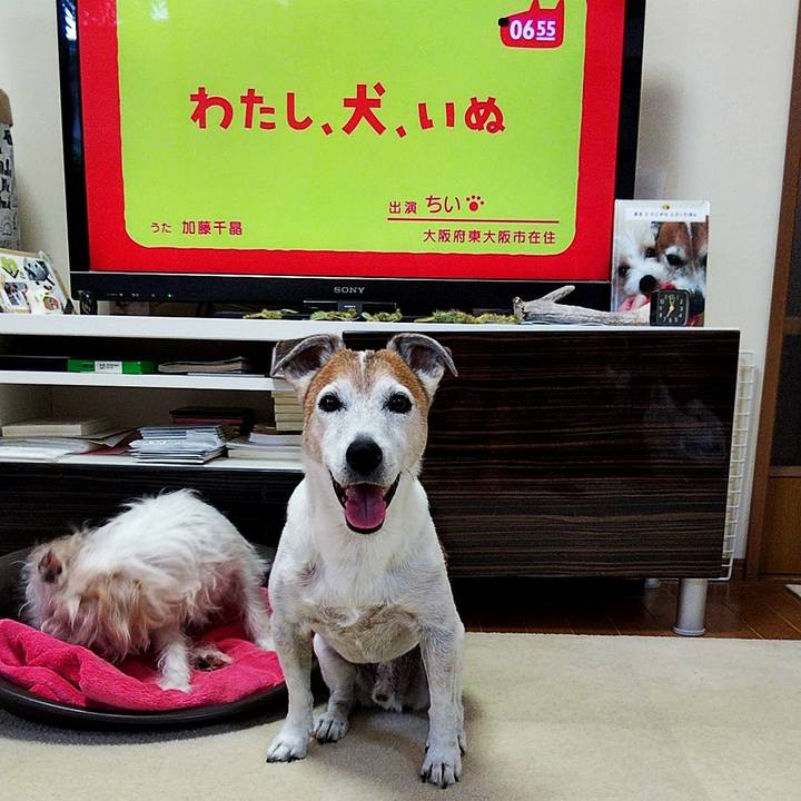 A3683601 5eb1 4807 87ec e1d406d9f029 1568671941661