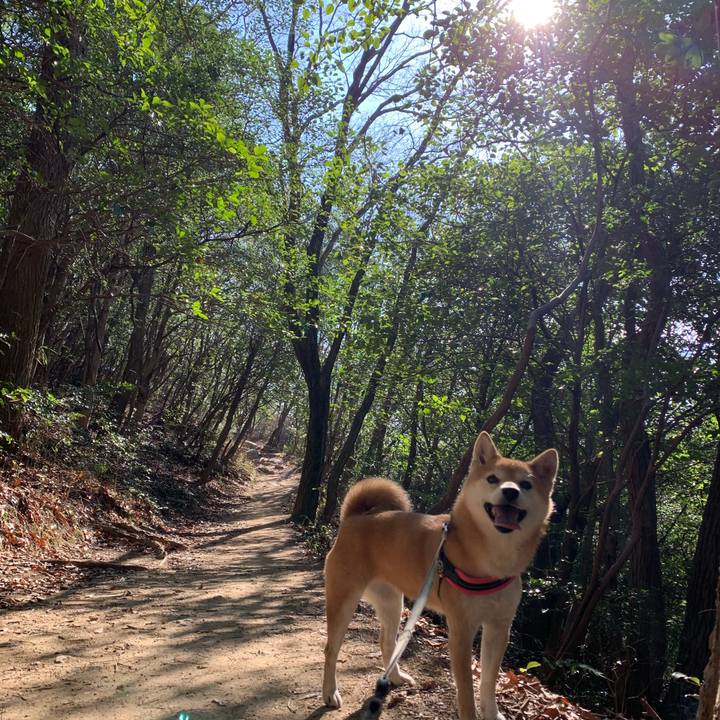 A3684487 82a6 4d78 8125 ec25413a4a02 1581424084302