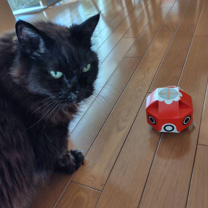 A3684be0 8b27 43c9 9d52 9a33f70fafe4 1741649513943