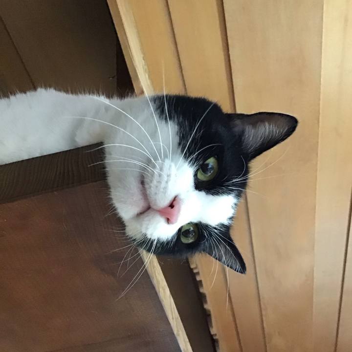 A3684eed 9205 4fac 9ddb 3a72365f7789 1726041218315