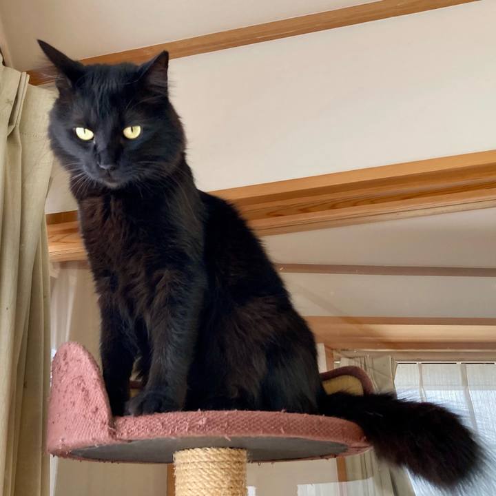 A368ad85 01ba 4e50 83ef 6154c816b4bc 1742187870627