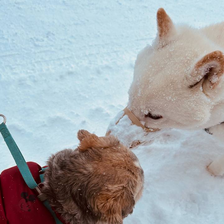 A368cb6d 7726 484f b9ee 087ffc1fd556 1765580353918