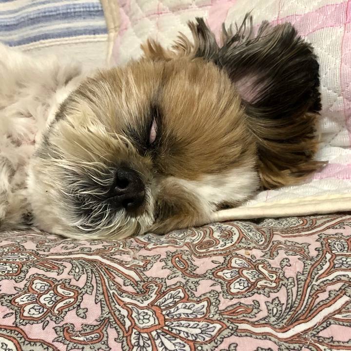 A368e8da beff 435d b0bb 942d8399586d 1589722650281