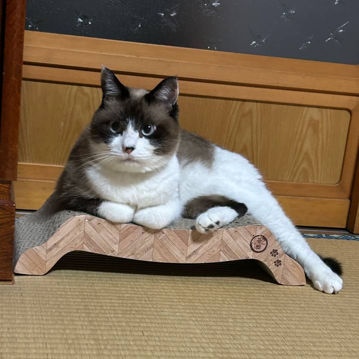 A368f59d dfeb 4cf6 a181 d3bb044b9e51 1759176672512