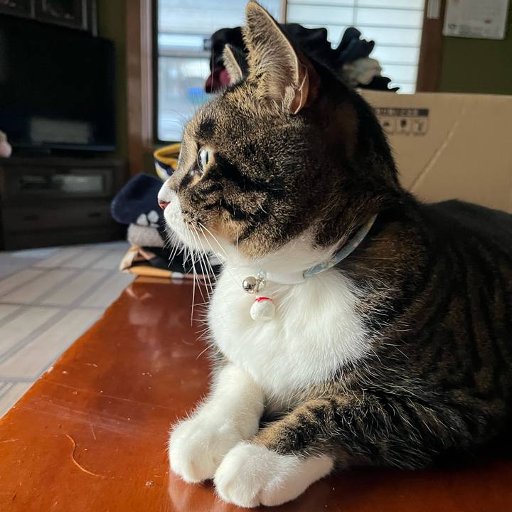 A369081d 8869 4f50 9079 b388cb820d7f 1765326749767