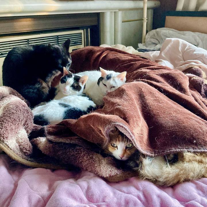 A3692935 d580 4923 853d 11926bdef3d4 1774165466615