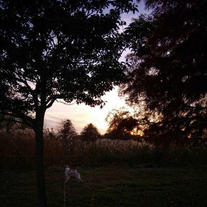 A3693523 1984 467c 8c51 c05ddecf613c 1512635302123